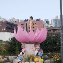 반야선원 Daum카페