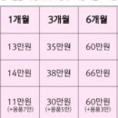 서산Y복싱클럽 이미지