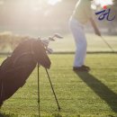 성광태양광발전소 이미지