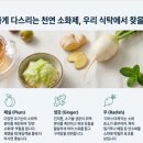 다제스팜 네이버블로그