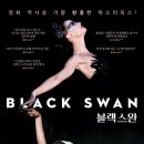 블랙스완 카카오 검색결과