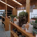 김종필농장 이미지