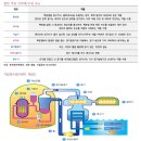 동남태양광발전 1호기 | (산업) 유틸리티, 원전 (키움증권 조재원 연구원)