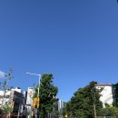 에스더의리얼베이킹 | 나의 일상,,,, 🌱💚