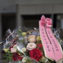 무궁화태권도장 이미지