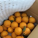 승수농장 이미지