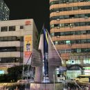 유성 족욕체험길 | 2025 유성 봄꽃 전시회 저녁 방문 후기 족욕 체험 추천