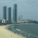 동백로 | 부산여행 숙소 추천 l 웨스틴조선부산 오션뷰 l 디럭스 파크 패밀리룸 후기