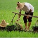 이솝한의원 이미지