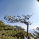 8월10일 월요일 출석부 이미지