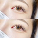 유어래쉬 이미지