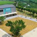 왕매실마을 이미지