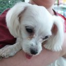 망미동물병원 이미지