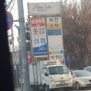 돌샘탕 | 전국여행에서 발견된 싸인볼들 2