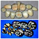 유앤아이치과기공소 이미지