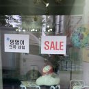 뽀송하개 이미지