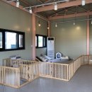 도그노크 이미지