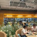 현대코너 | 커넥트현대청주 지하1층 푸드코너 티앤띠 평일방문후기