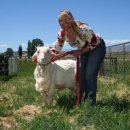 슈렉목장 이미지