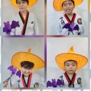 새고려태권도장 이미지