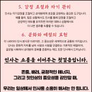 주안멘토태권도장 이미지