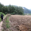 은티농장 이미지