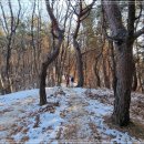 오남천1 이미지