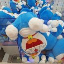 모모스테이션 이미지