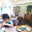 하빛율빠꿈사리 이미지