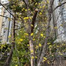 벚나무쉼터 화장실(배봉산) 이미지