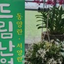드림난원