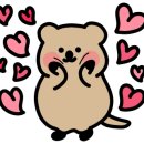 대진부동산중개사무소 이미지