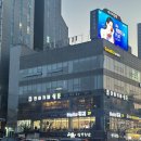 왕대박PC | 하이디라오st 광주 훠궈 맛집 상무지구 헬로훠궈 내돈내산