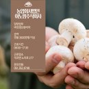 법인이노팜