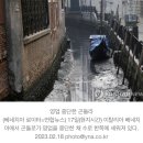 伊 베네치아, 가뭄으로 수로 바닥 드러내…곤돌라 영업 중단 이미지