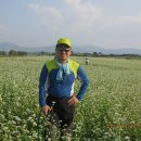 백제농장 이미지