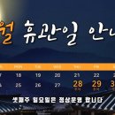 고릴라 멀티짐 이미지