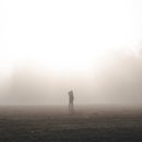 안개로가로수 이미지