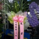 우리들안경콘택트 이미지