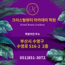 크리스탈뷰티 네이버블로그