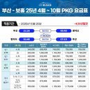 제주보홀 이미지
