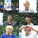 에이스 티브이데일리