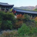 표충사매표소앞 이미지