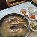 청량(문수) | 울산 율리 맛집 뜰담집 생오리 백숙으로 몸보신한 가족 외식 후기
