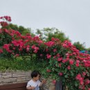한밭화원 이미지