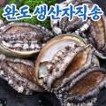 주식회사 싱싱유통 이미지