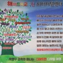 스마트폰 왕초보 탈출 이미지