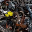 지랑마을 이미지