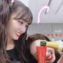 모모투어