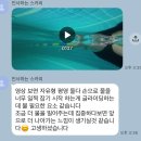 조코치의 수영교실 | 부산수영레슨 전문 안도근 선생님 강습 후기 (ft. 조코치의 수영교실)